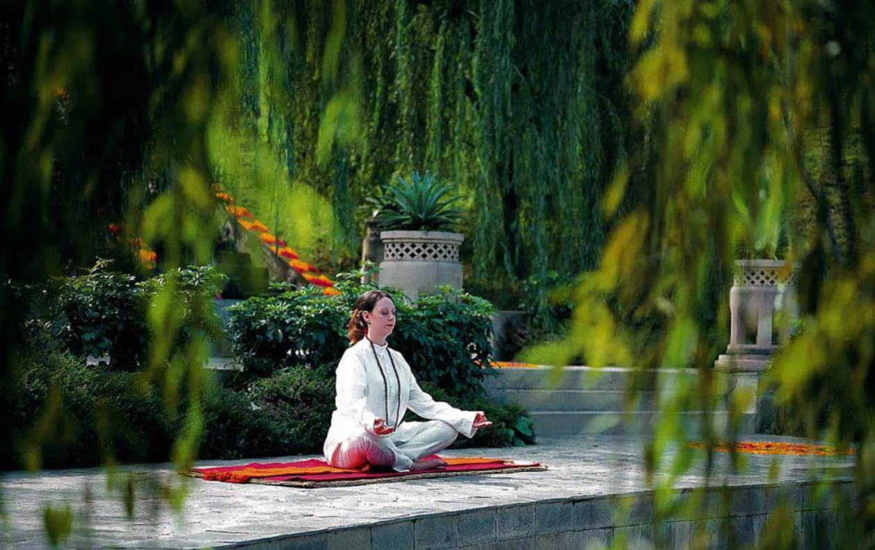 Ananda Destination Spa India meditation